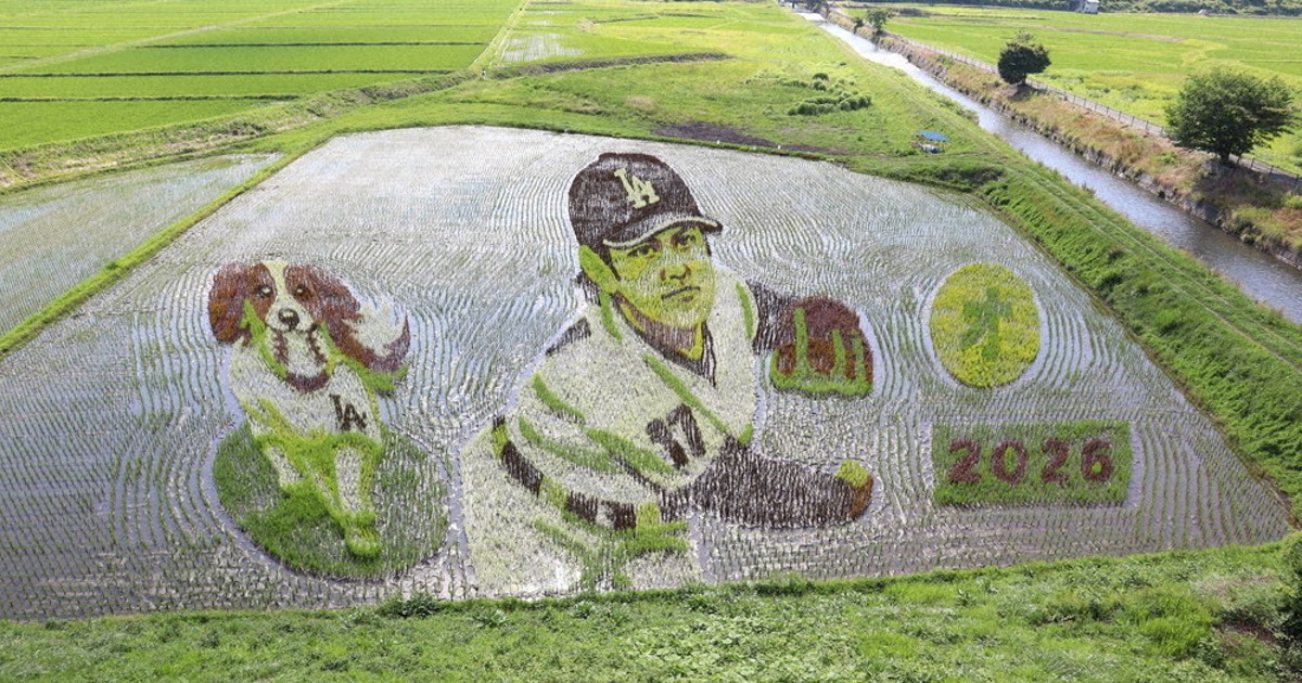大谷選手と愛犬「デコピン」今年も 田んぼアートお目見え 奥州 ／岩手