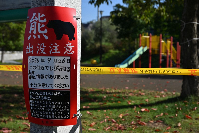 都市熊現蹤頻繁：專家解析原因與對策