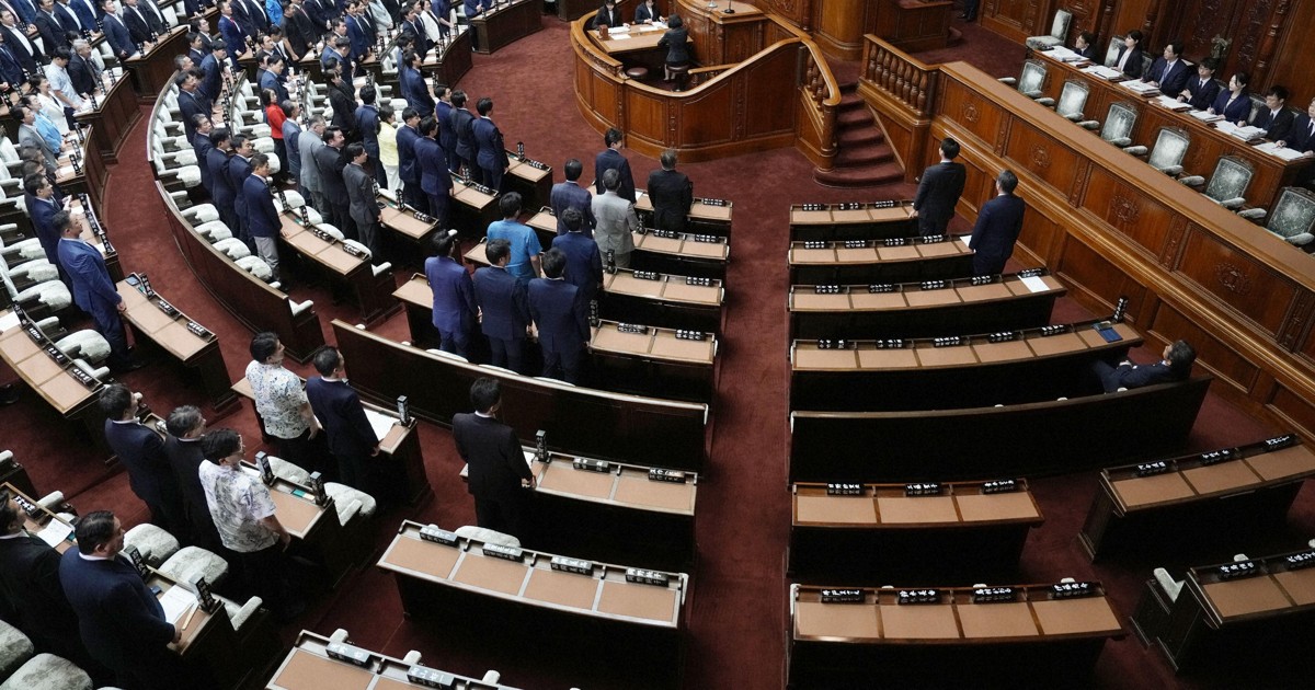 Lower house OKs bill outlawing Japanese flag desecration