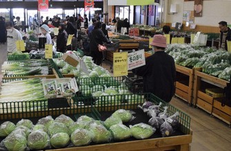 Sales of rice from 2025 harvest to Japan wholesalers hit record low ...