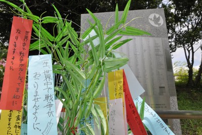 西東京市田無神社「七夕てるてる隧道」點亮夏日祈願
