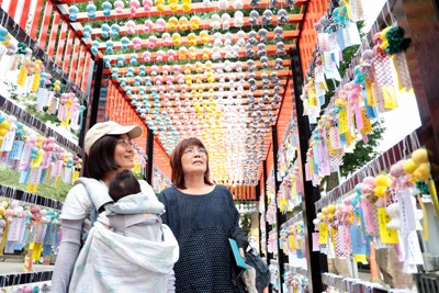 西東京市田無神社「七夕てるてる隧道」點亮夏日祈願