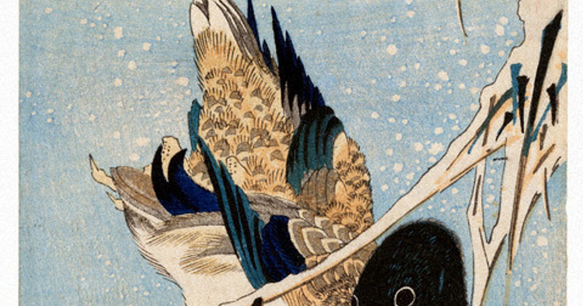 美の越境：海を渡った広重の花鳥画＝学習院大教授・今橋理子（日本美術