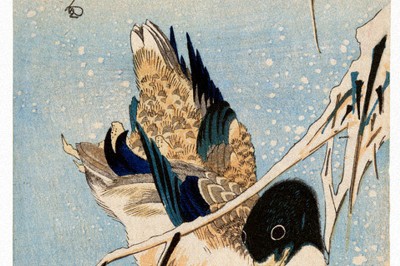 美の越境：海を渡った広重の花鳥画＝学習院大教授・今橋理子（日本美術