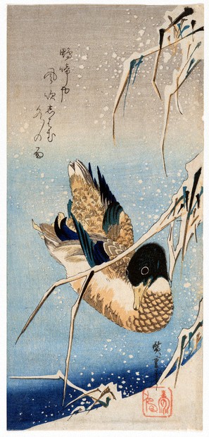 美の越境：海を渡った広重の花鳥画＝学習院大教授・今橋理子（日本美術