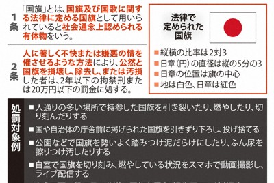 歷史學者籲廢除國旗損毀罪：恐成思想不自由的象徵