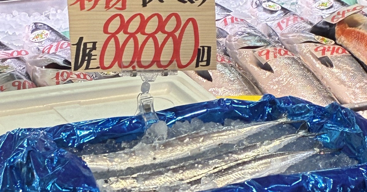 サンマ、店頭で1匹8万8880円　釧路の初競りは過去最高額