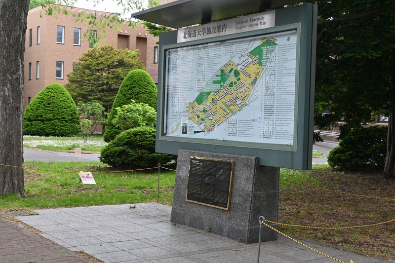 北海道大學設立銘板紀念原住民族艾努文化,反思歷史與共生