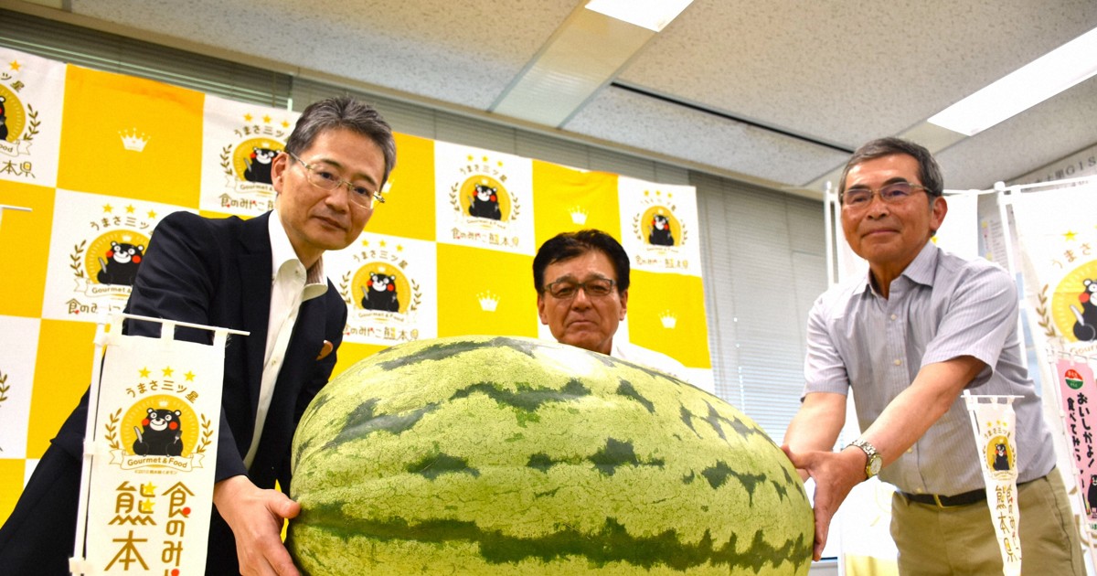 重さ102キロ、長さ82センチ　熊本県にジャンボスイカ贈呈