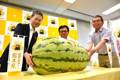 尾花沢西瓜盛大啟航,品質創近年最佳紀錄