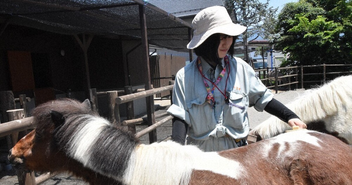 甲府市動物園為緩解工事噪音壓力，播放「嵐」的歌曲，並募集新吉祥物
