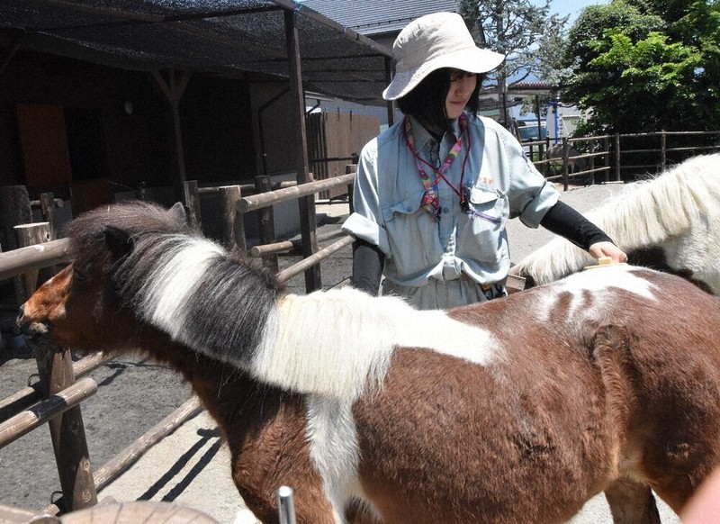 甲府市動物園為緩解工事噪音壓力,播放「嵐」的歌曲,並募集新吉祥物