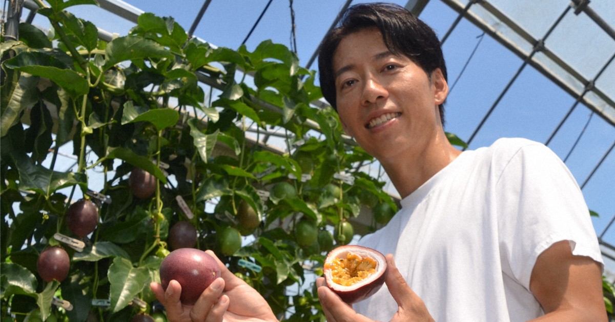熱情果酸甜交織 滿載館山盛夏滋味