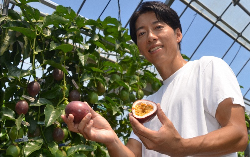 熱情果酸甜交織 滿載館山盛夏滋味