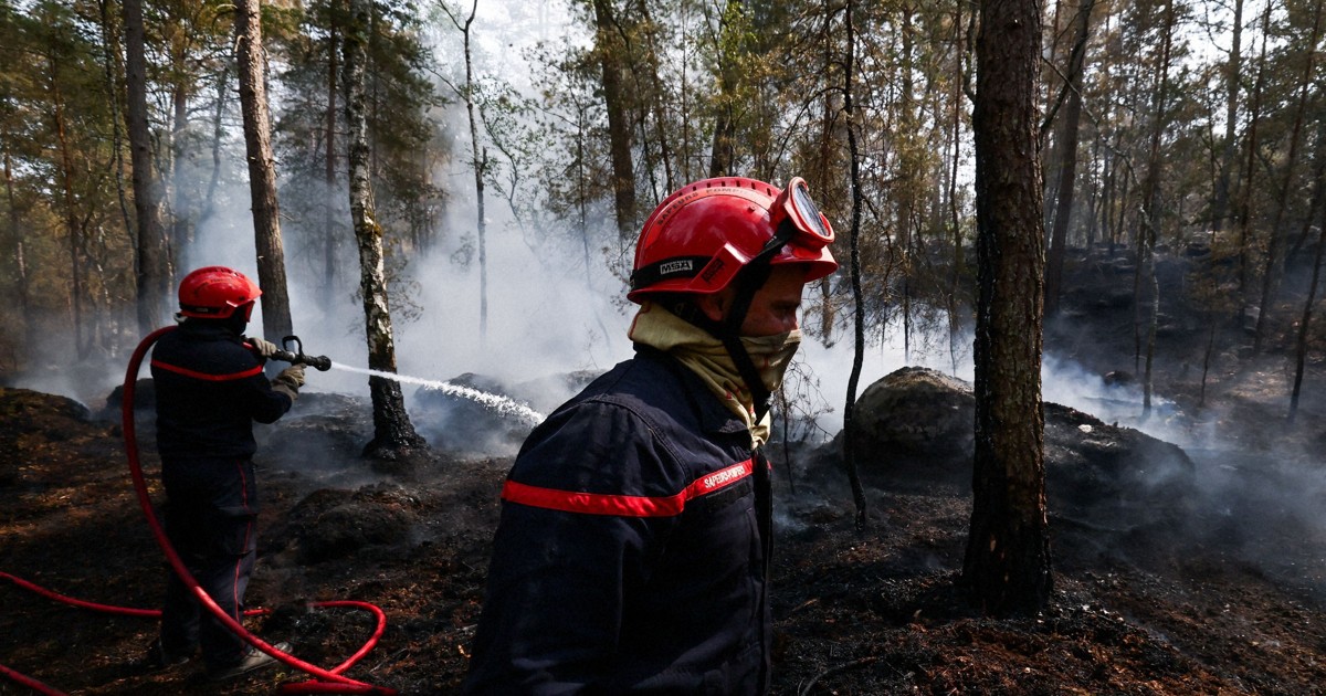 欧州熱波、死者数が1.4万人増加　フランスなどで山火事猛威