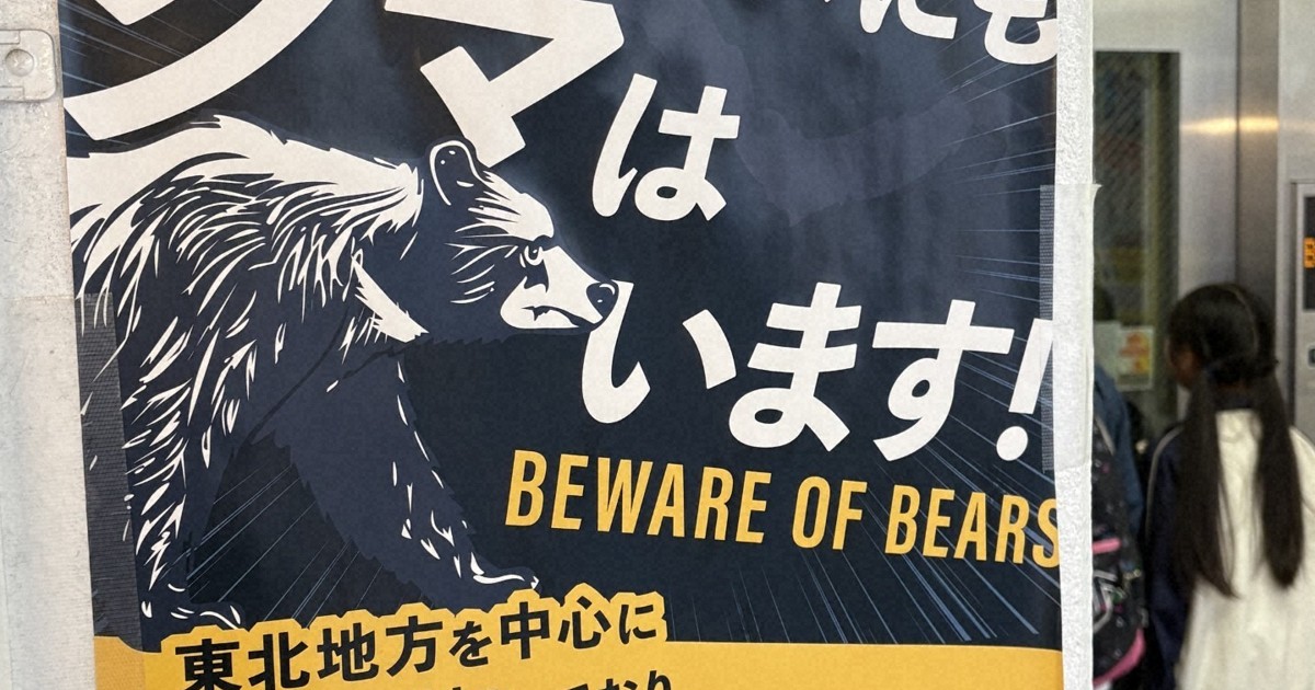 Tokyo gov't adds bear safety guidance to natural park rules after repeated sightings