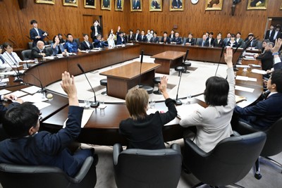 國旗損毀罪法案獲參議院通過,朝野五黨支持,兩黨反對