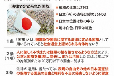 國旗損毀罪法案獲參議院通過,朝野五黨支持,兩黨反對
