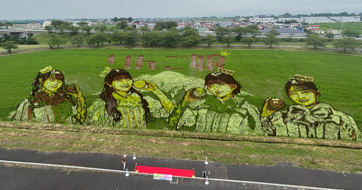 「りんご娘」も色鮮やかに　田んぼアート発祥の地で見ごろ　青森