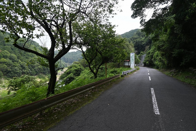 奈良市山中發現兩具遺體,其中一人確認為嫌疑人交往對象,另一人疑為其女兒