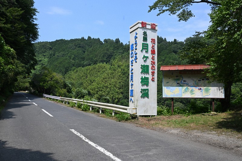 奈良山中發現兩具遺體,嫌犯坦承「一人運送」
