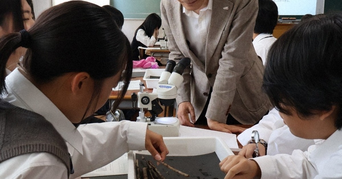 京都大學名譽教授與高中生實驗：熊蟬幼蟲在雨天孵化